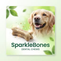Dental Treats