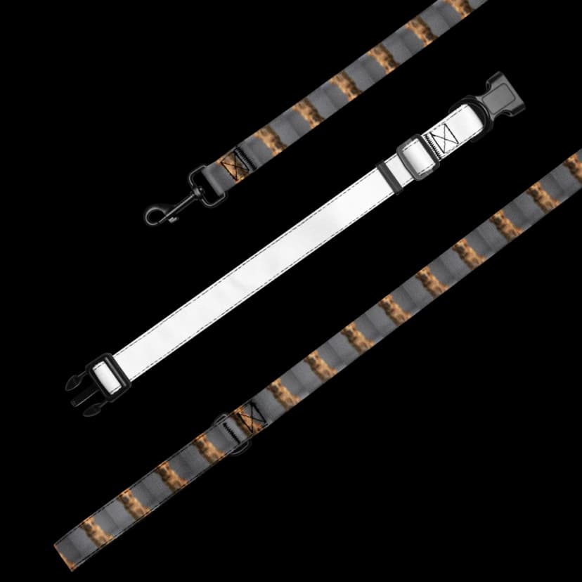 Collar & Leash Set